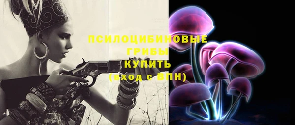 спайс Абаза