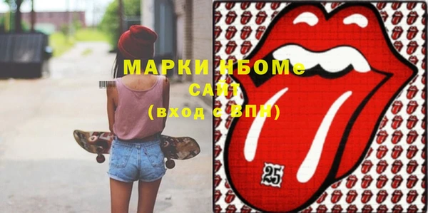 индика Алексин