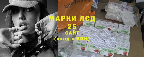 индика Алексин